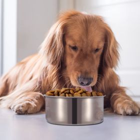 Stainless Steel Dog Bowl, Hanging Detachable w/ Clamp Holder (size: L)