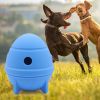 Pet Gnawing and Teething Educational Feeder