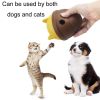 Pet Gnawing and Teething Educational Feeder