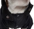 Touchdog Mount Pinnacle Ski Jacket for Dogs