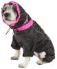 Helios Weather-King Windproof Full-Body Dog Jacket – Ultimate Protection