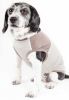 Pet Life Active Aero-Pawlse Quick Dry 4-Way Stretch Performance Dog Tank Top T-Shirt
