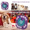 Dog Puzzle Food Feeder Slow Feeding Bowl Interactive Toy