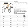 Knitted Fabric Mesh Dog Dress with Short Skirt – Small & Medium Dogs