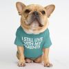 Starling Dog T-Shirt Round Collar Pet Clothing for English Bulldog Teddy Bear Style Dog Outfit