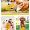 Pet Chewable Teething Stick Dog Sounding Toy