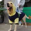 Autumn & Winter Big Dog Sweater – Golden Retriever & Labrador Clothing