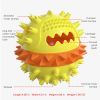 Pet Supplies Vocal Dog Toy Leaking Food Ball