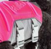 Helios Tidal Guard Reflective Dog Life Jacket Vest – Multi-Point Stitching