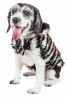 Pet Life Luxe “Tigerbone” Tiger Patterned Mink Fur Dog Coat Jacket