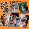 Christmas Plush Pet Hoodie Jacket – Warm Winter Coat for Puppies & Small Dogs
