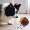 Pet Gnawing and Teething Educational Feeder