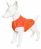 Pet Life Active Aero-Pawlse Quick Dry 4-Way Stretch Performance Dog Tank Top T-Shirt