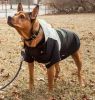 Touchdog Mount Pinnacle Ski Jacket for Dogs