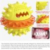 Pet Supplies Vocal Dog Toy Leaking Food Ball