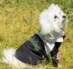 Touchdog Mount Pinnacle Ski Jacket for Dogs