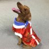 Chinese New Year Tang Suit Pet Jacket – Fleece Coat for Small & Medium Dogs