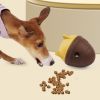 Pet Gnawing and Teething Educational Feeder