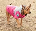Touchdog Mount Pinnacle Ski Jacket for Dogs