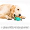 Pet Supplies Vocal Dog Toy Leaking Food Ball