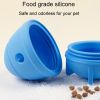 Pet Gnawing and Teething Educational Feeder