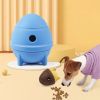 Pet Gnawing and Teething Educational Feeder