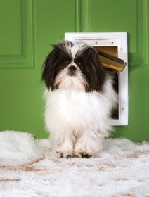 PetSafe Small Extreme Weather Pet Door (Option: Small)