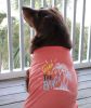 Gone To The Beach Dog Shirt