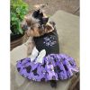 Halloween Dog Harness Dress – Costume Outfit for Dogs