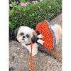 Halloween Dog Harness Dress – Costume Outfit for Dogs