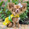 Ladybug & Daisy Floral Dog Dress with Matching Leash