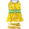 Ladybug & Daisy Floral Dog Dress with Matching Leash