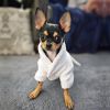 White Silver Tiara Cotton Dog Bathrobe